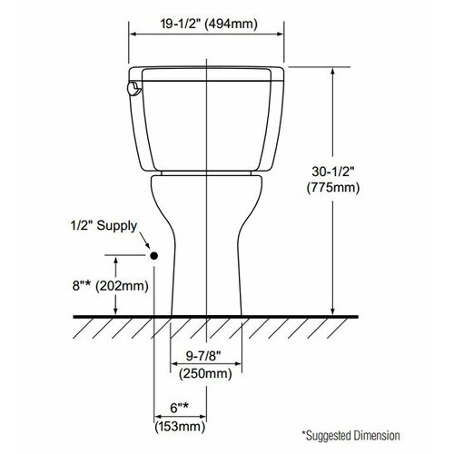 Toto Drake ADA Compliant 1.6 GPF Elongated 2 Piece Toilet