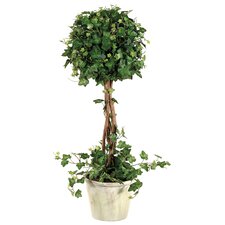 Curily Plant Ivy Round Tree in Pot