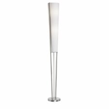 Modern Lighting Styles 2 Light Floor Lamp