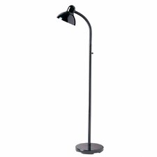 Light Gooseneck Floor Lamp