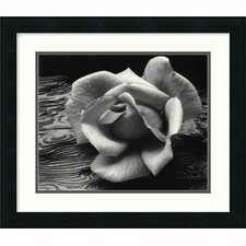 , California by Ansel Adams, Framed Print Art   17.44 x 20.19