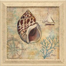 Discovery Shell IV Framed Art