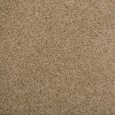 Legato Touch 19.7 x 19.7 Carpet Tile in Tradewinds