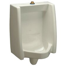 Washout Urinal