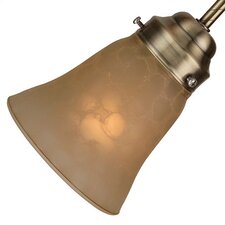 25 Neck Tinted Glass Flare Bell Shade in Tea Stain