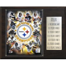 NFL Steelers 6 Time Super Bowl Champions Plaque